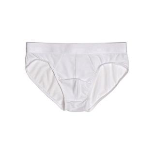 HOM  MiniBrief MESH 