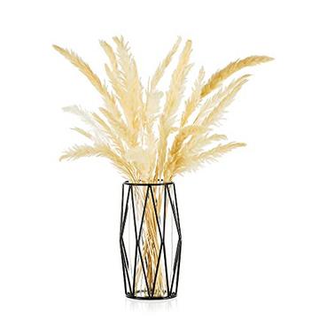 Vase à fleurs en verre avec support d'étagère en métal géométrique, jardinière de Terrarium cristalline