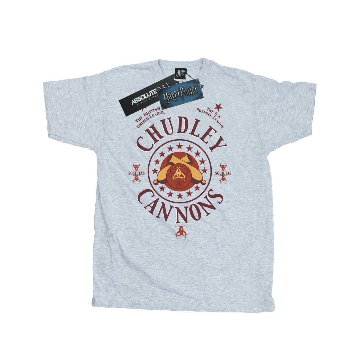 Image of Chudley Cannons Logo Tshirt Herren Grau XL