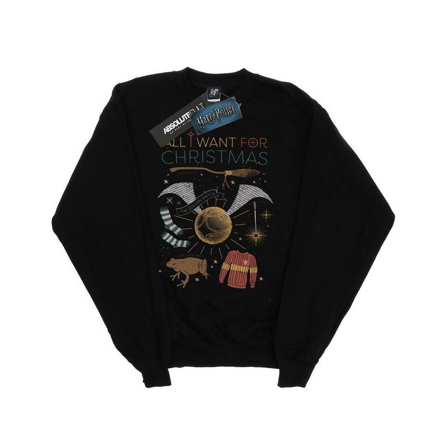 Harry Potter  All I Want For Sweatshirt 