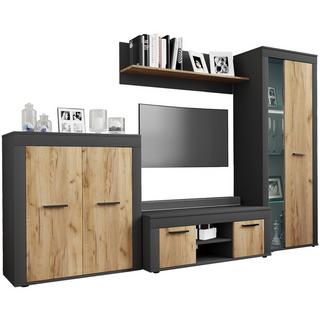 VCM 4 pcs. TV Lowboard armoire de télévision mur d'armoire salon annexe mur Usilo L  