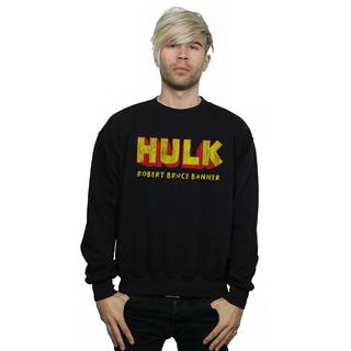 MARVEL  AKA Robert Bruce Banner Sweatshirt 