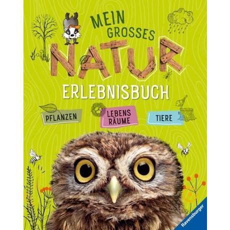 Mein großes Natur-Erlebnisbuch Angelika Lenz Couverture rigide 