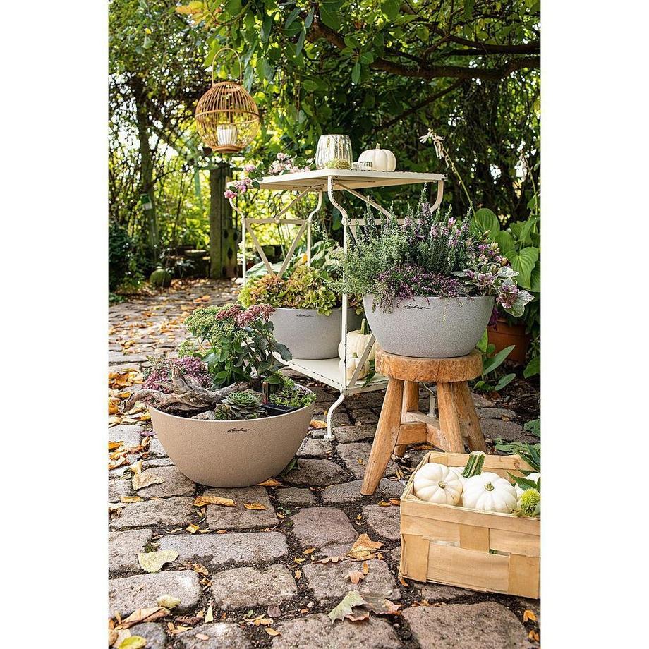 Lechuza CUBETO Stone all-in-one  