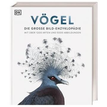 Vögel