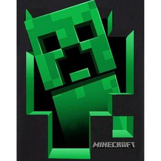 MINECRAFT  Tshirt manches courtes 