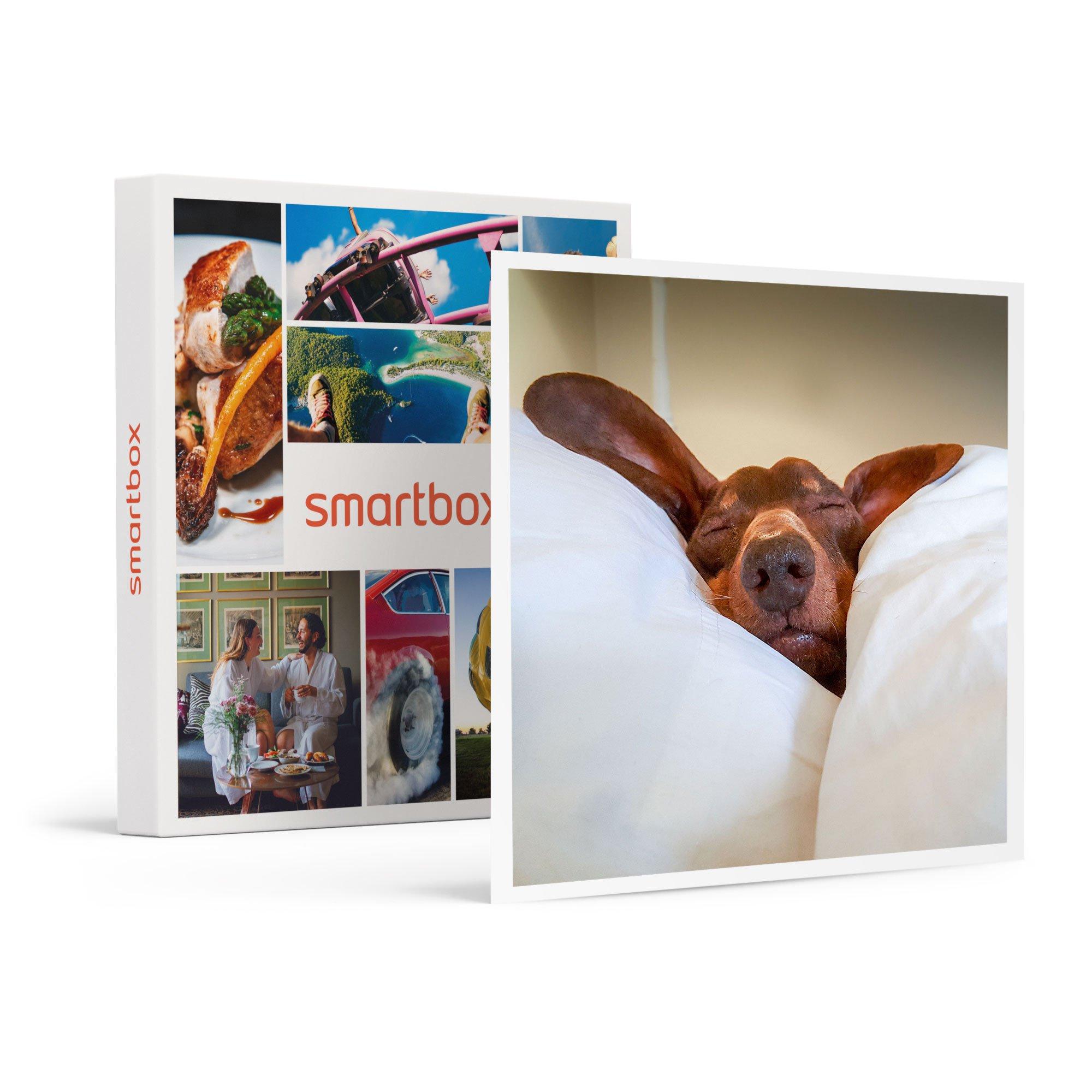 Image of Urlaub Mit Dem Hund Für 2 In Der Schweiz - Geschenkbox Unisex