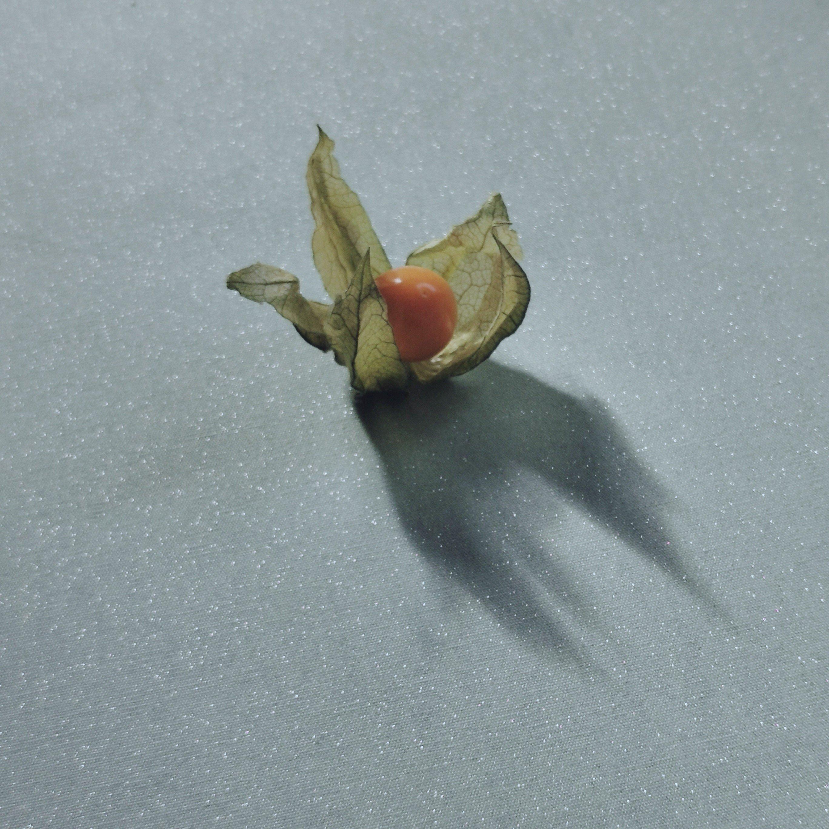 Fleur de Soleil Tovaglia antimacchia rotonda o ovale Paillettes  