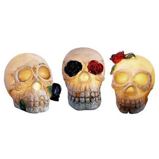 eStore 3x Lanternes de Crâne, Décoration - Halloween  