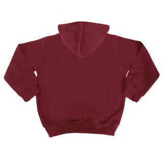 AWDis  Kapuzen Pullover Varsity 