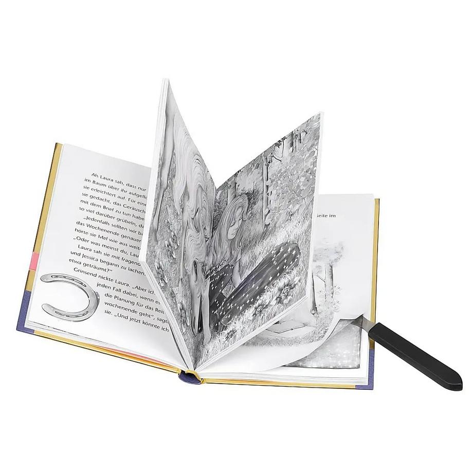 Sternenschweif Das geheime Zauberbuch (DE) Chapman, Linda Copertina rigida 