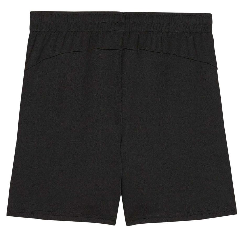 PUMA  Teamfinal Fußballshorts 