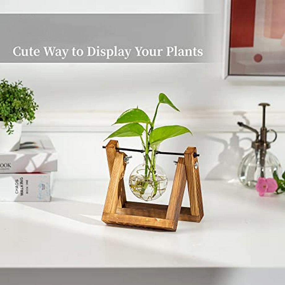 Alopini Station de propagation pour plantes, vase à ampoules avec support en bois, pot de fleurs en verre d'intérieur pour décoration de table, accessoires vintage pour la maison, le bureau, 1 ampoule  