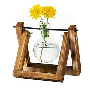 Station de propagation pour plantes, vase à ampoules avec support en bois, pot de fleurs en verre d'intérieur pour décoration de table, accessoires vintage pour la maison, le bureau, 1 ampoule