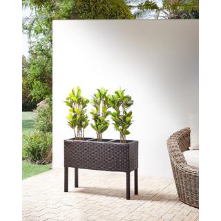 Beliani Vaso per piante rialzato en Rattan sintetico Rustico CARAGANA  