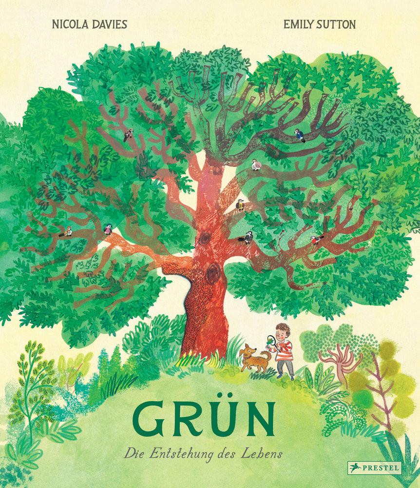 Grün Davies, Nicola; Sutton, Emily; Sutton, Emily (Illustrationen); Schaub, Anna (Übersetzung) Couverture rigide 