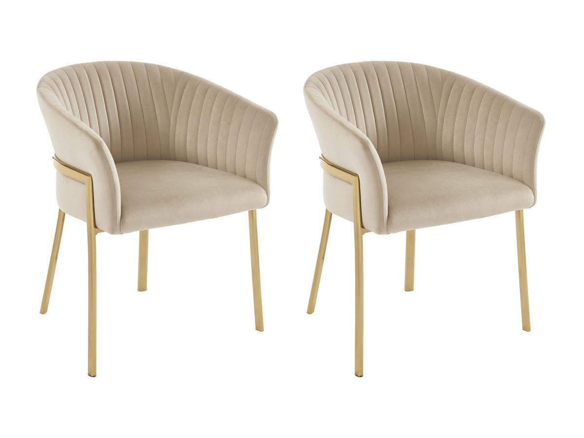 PASCAL MORABITO Lot de 2 chaises avec accoudoirs en velours et métal doré - Beige - ZAOVA de Pascal MORABITO  
