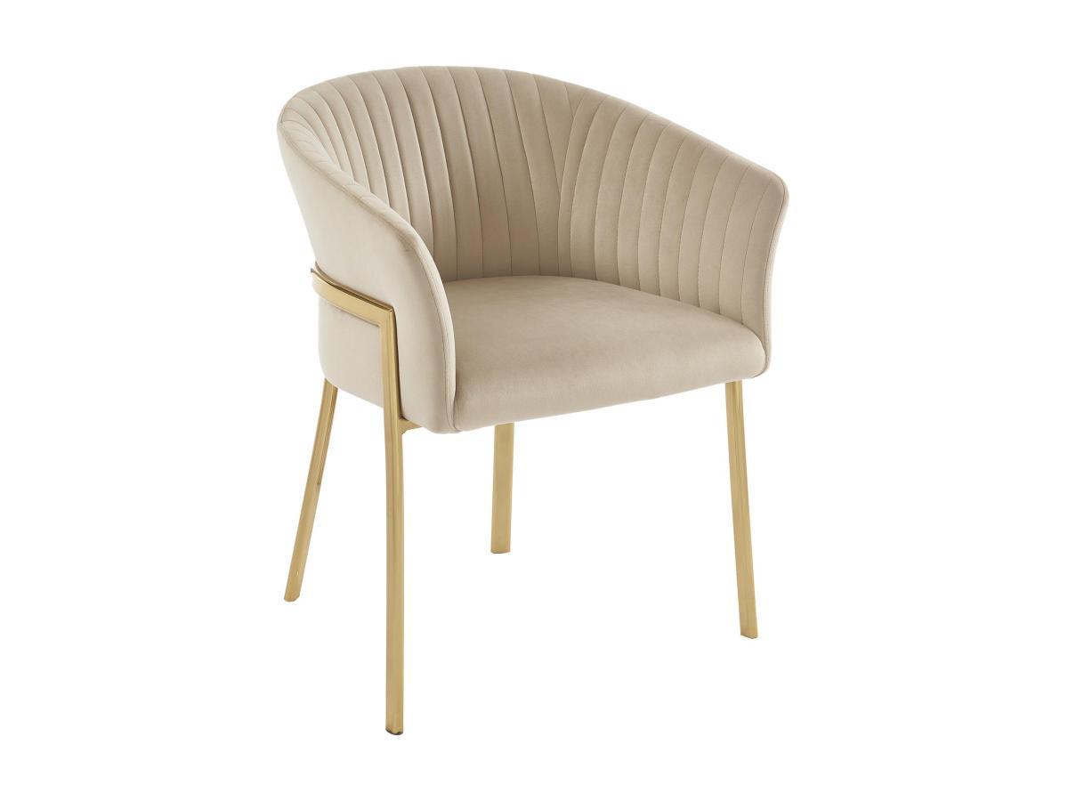 PASCAL MORABITO Lot de 2 chaises avec accoudoirs en velours et métal doré - Beige - ZAOVA de Pascal MORABITO  