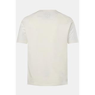 JP1880  T-shirt con mezze maniche raglan, stampa sul petto e scollo a girocollo, fino alla tg. 8XL 