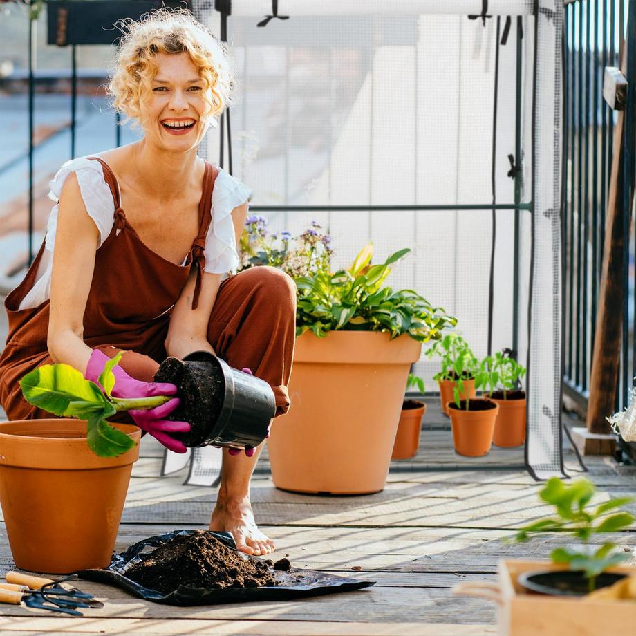 B2X Balkongewächshaus mit 4 Regalen  