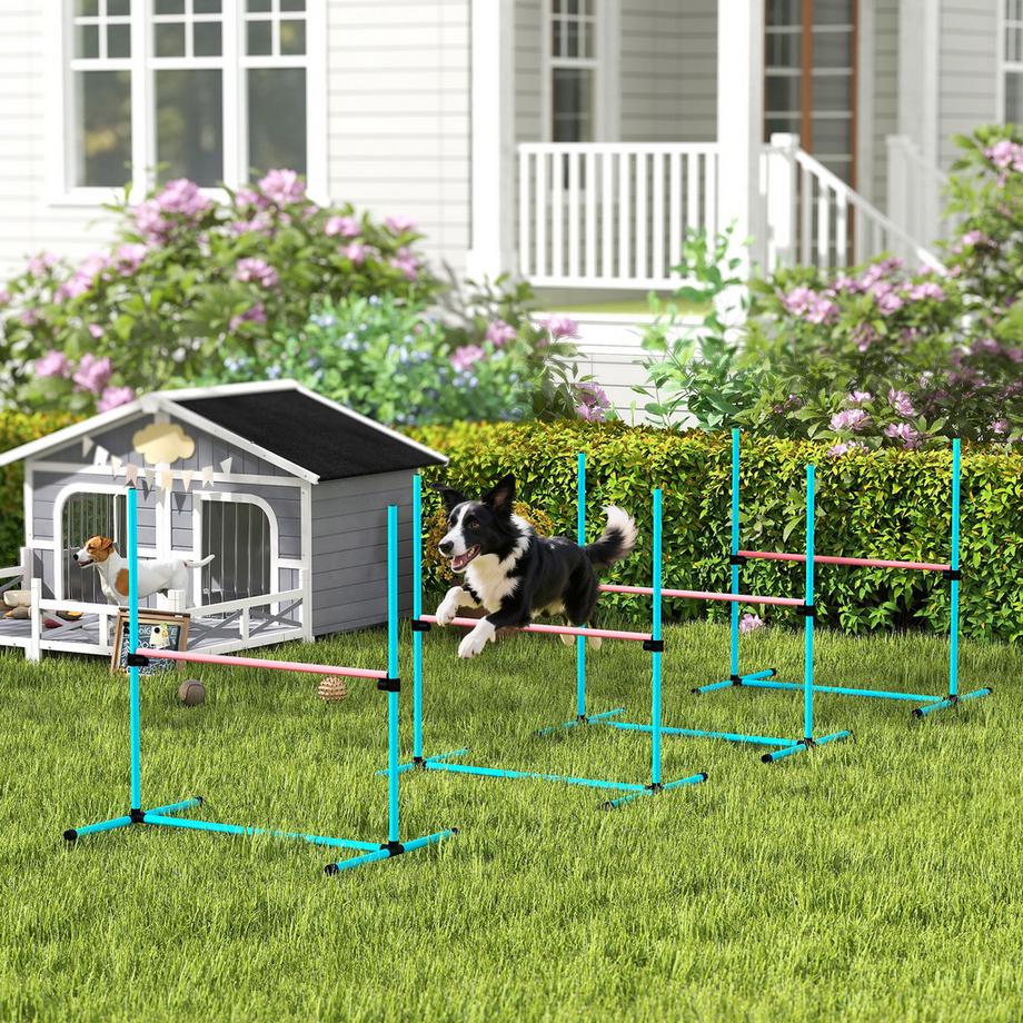 PawHut  Kit d'agilité pour chiens 