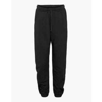 Organic Sweatpants-S