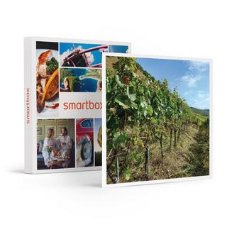 Smartbox  Weinverkostung im Duo mit Brett zum Teilen und Spaziergang durch die Weinberge in der Nähe von Sion - Geschenkbox 