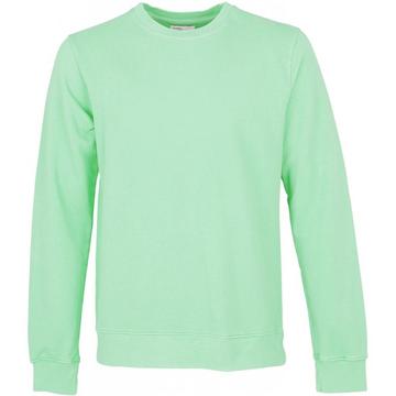 Sweatshirt col rond  Classic Organic faded mint