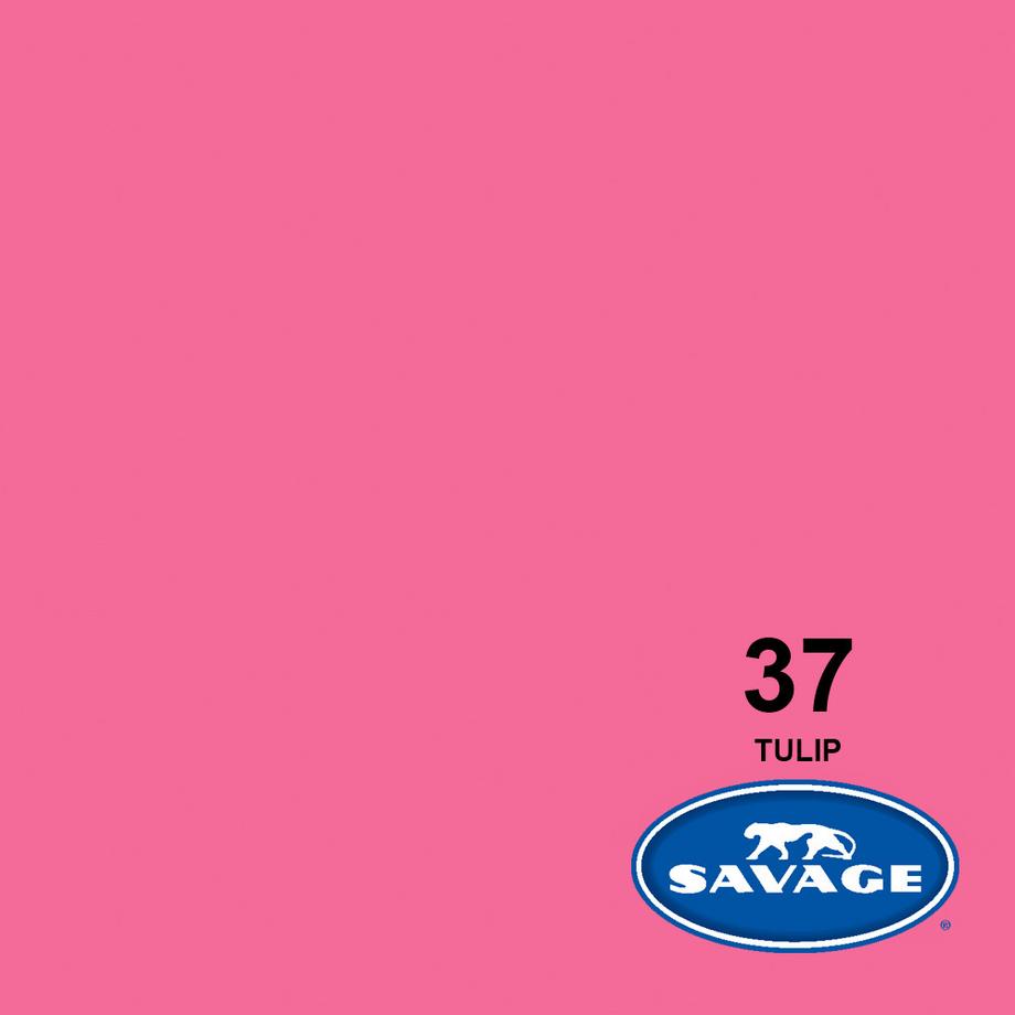Savage Universal 37-12 écran d'arrière plan Rose