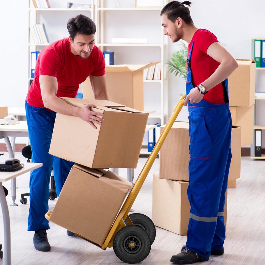 B2X  Roues de brouette en caoutchouc PU, 2 pièces. 