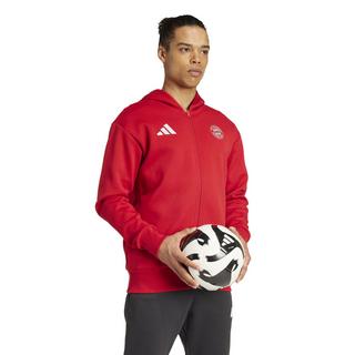 adidas  trainingsjacke bayern unich anthe 2024/25 