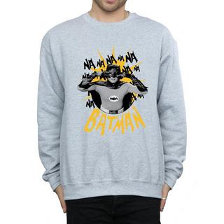 DC COMICS  Nananana Sweatshirt 