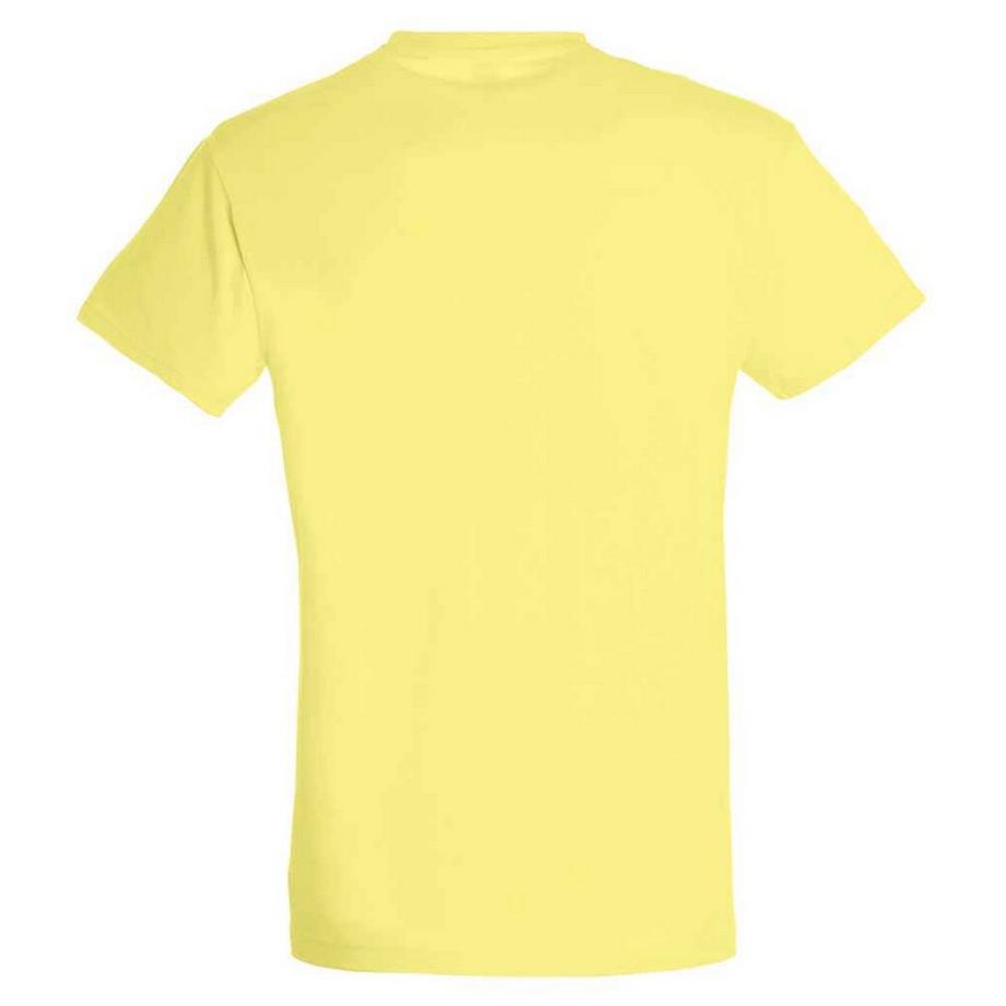 SOLS Regent T-Shirt  