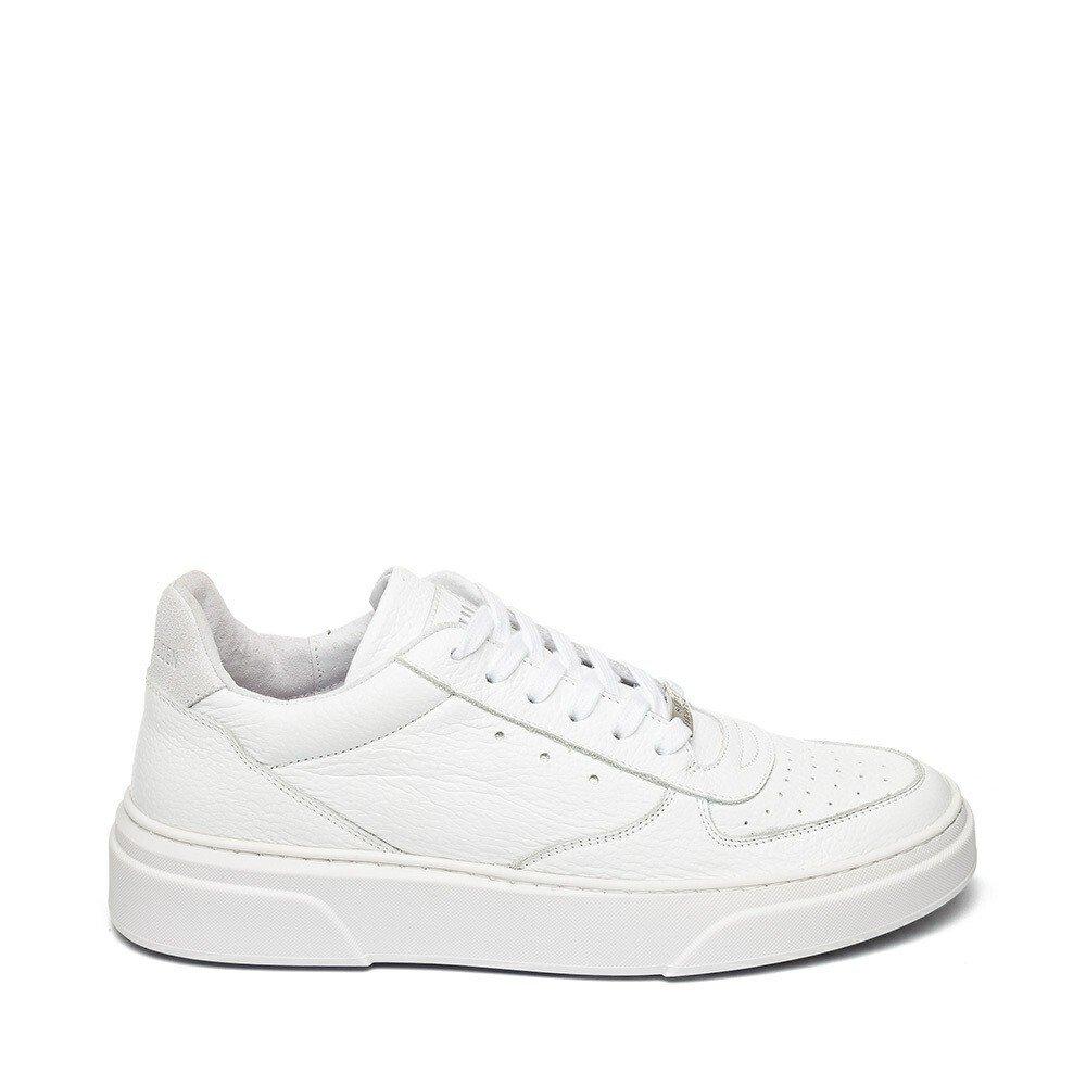 Image of Sneakers Brent Unisex 41