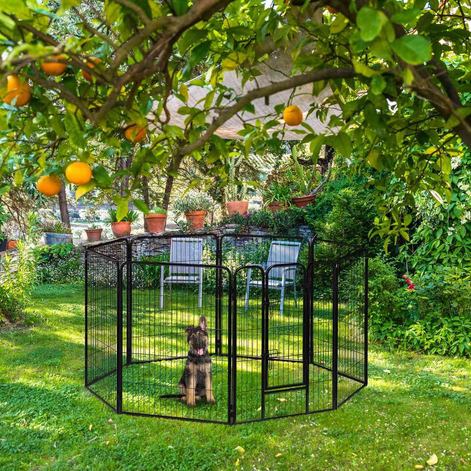 B2X  Taille chiot M-XXL 