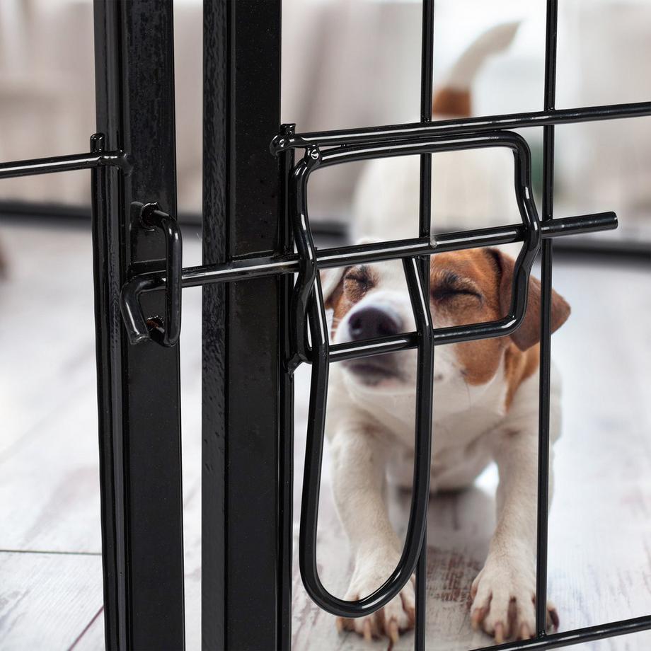 B2X  Taille chiot M-XXL 