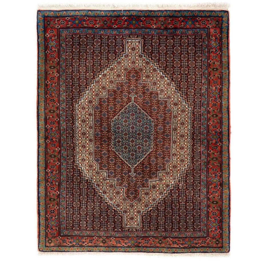 Tapis fait à la main Birjend