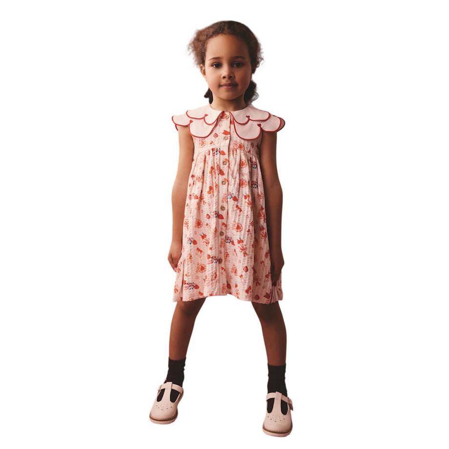 Cath Kidston  Freizeitkleid  ,  Mit Kragen 