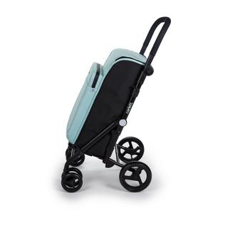 CARLETT URBAN FAMILY MINT  