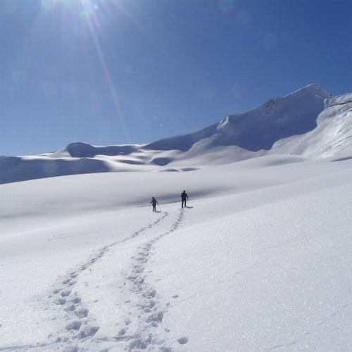 Image of Geführte Tages Schneeschuhwanderung Unisex
