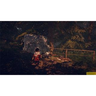 Nbg  Skabma - Snowfall [PS5] (D) 