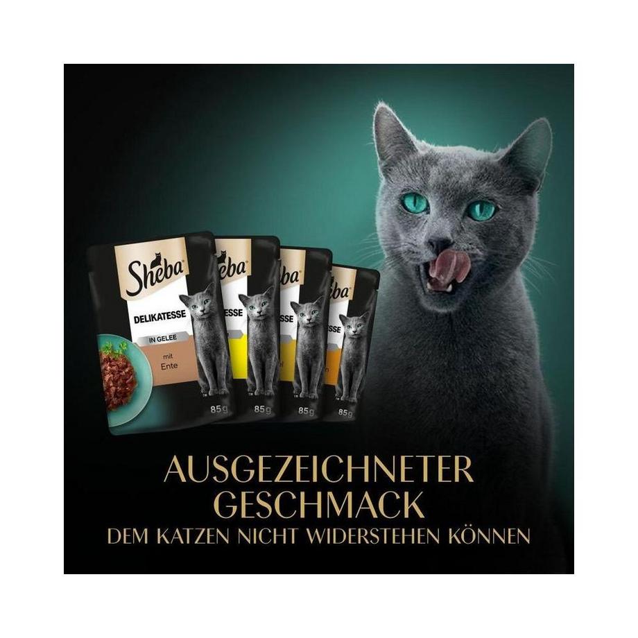 SHEBA PROMOTION Geflügel Variation 