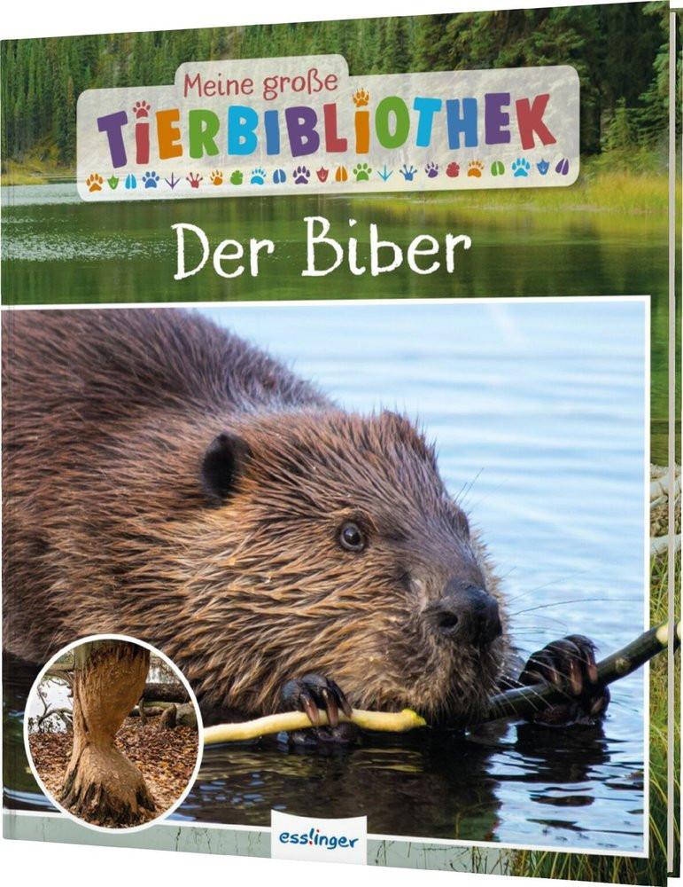 Meine große Tierbibliothek: Der Biber Gutjahr, Axel Couverture rigide 