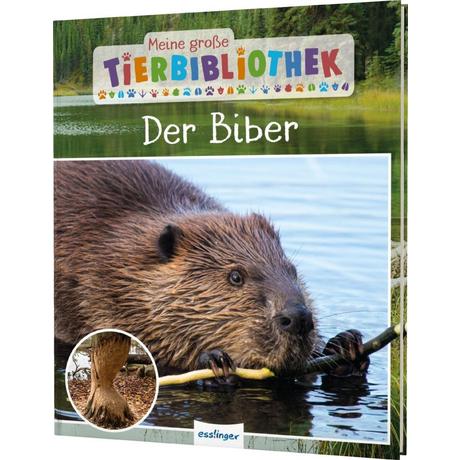 Meine große Tierbibliothek: Der Biber Gutjahr, Axel Couverture rigide 