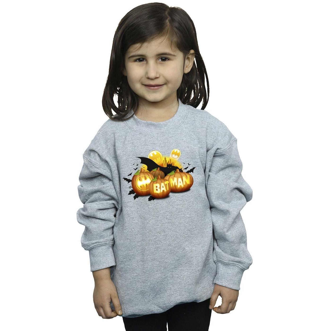 DC COMICS  Sweatshirt 