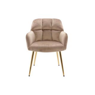 PASCAL MORABITO Lot de 6 chaises avec accoudoirs - Velours et métal doré - Beige - PEGA de PASCAL MORABITO  