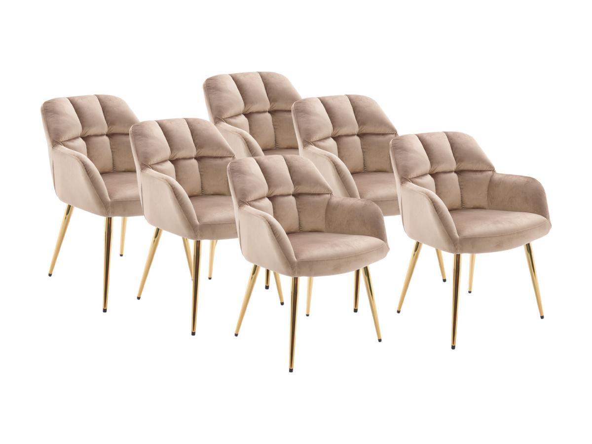 PASCAL MORABITO Lot de 6 chaises avec accoudoirs - Velours et métal doré - Beige - PEGA de PASCAL MORABITO  