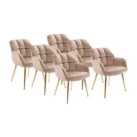 PASCAL MORABITO Lot de 6 chaises avec accoudoirs - Velours et métal doré - Beige - PEGA de PASCAL MORABITO  