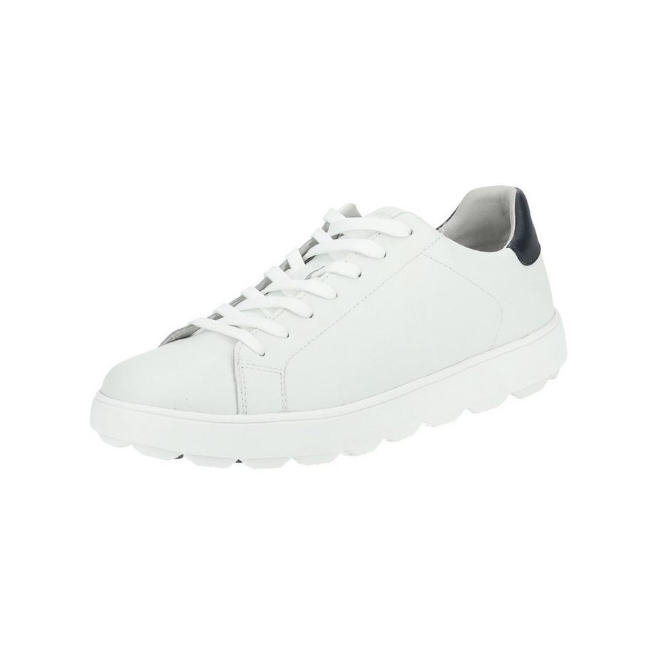 sneakers spherica