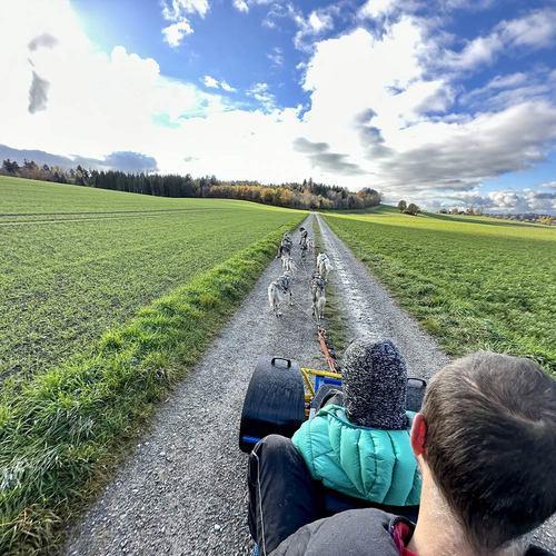 Image of Familienausflug Mit Dem Cani-kart (für 4 Personen) Unisex